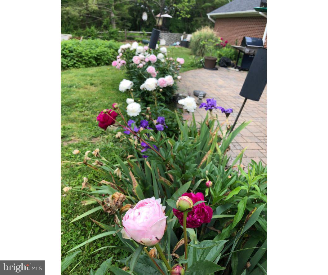 KALMIA FARMS - Residential