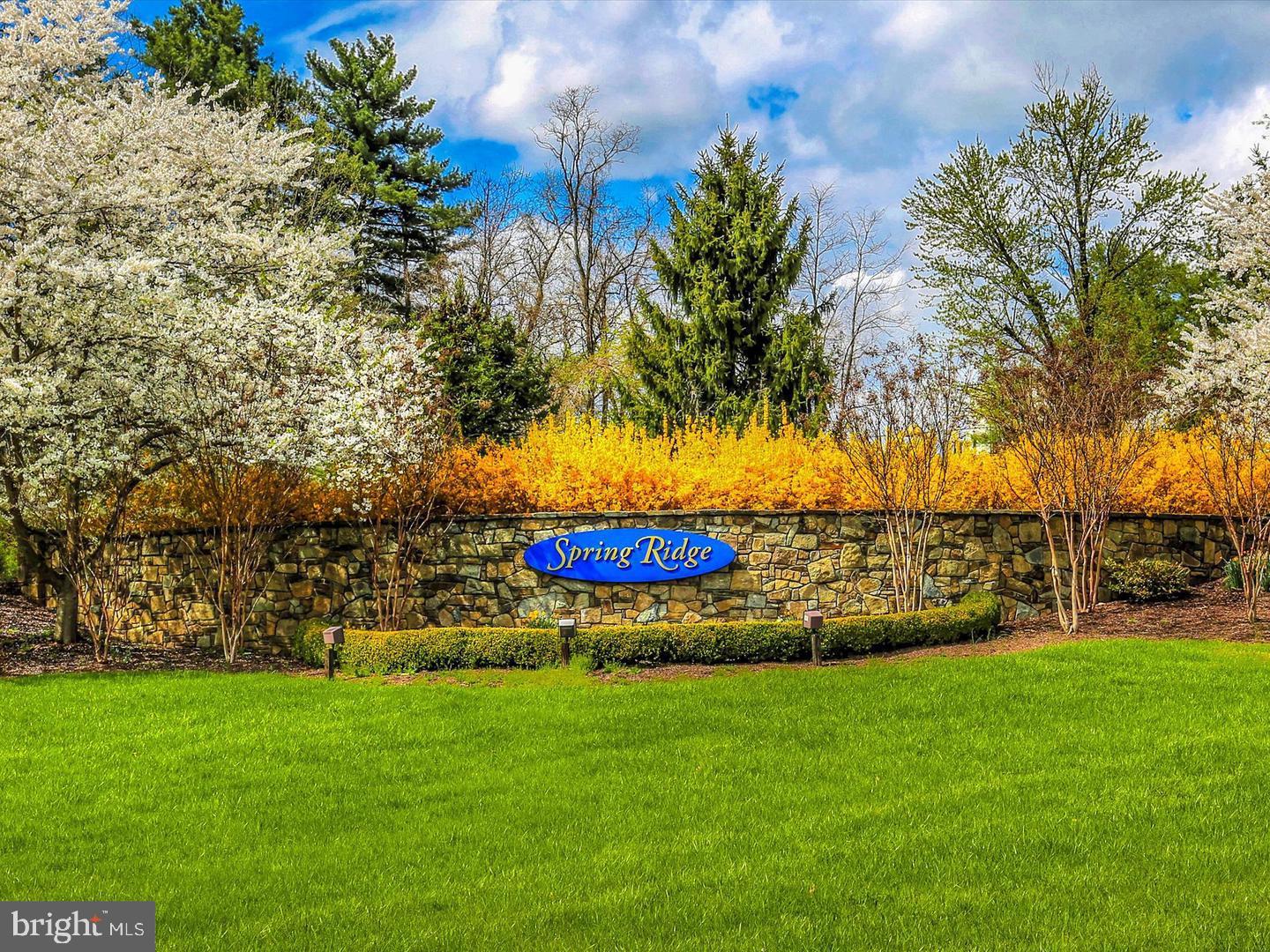 SPRING RIDGE - Residential