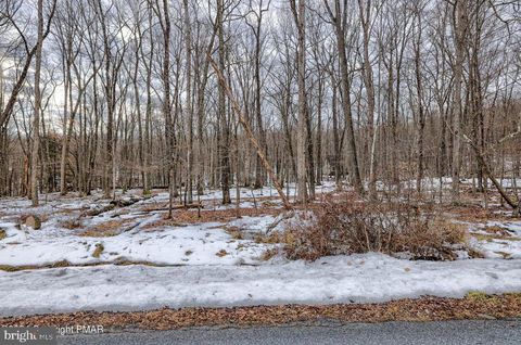 Lot 17 POCONO MOUNTAIN LAKE DRIVE BUSHKILL PA 18324