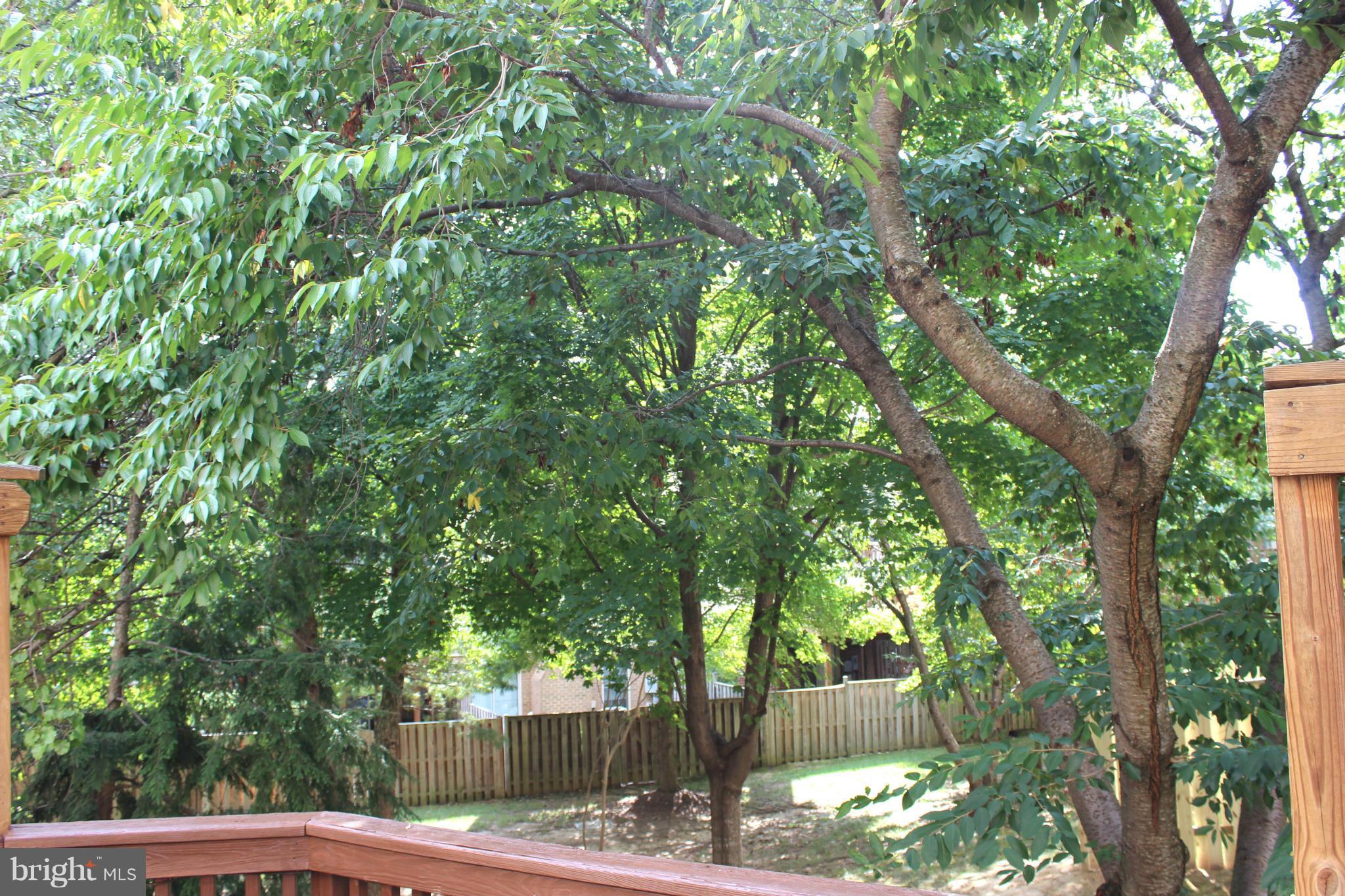 KINGSTOWNE - Residential Lease