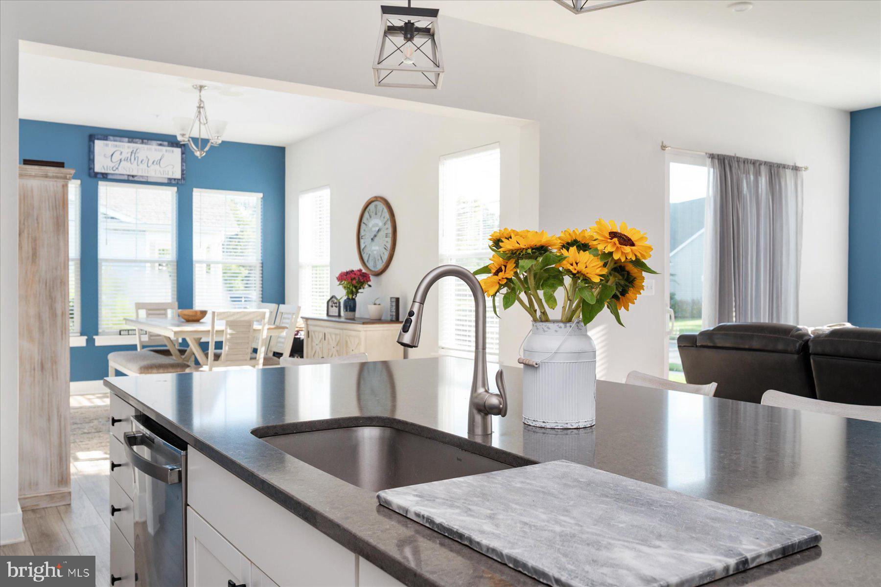 FOUR SEASONS AT KENT ISLAND - Residential