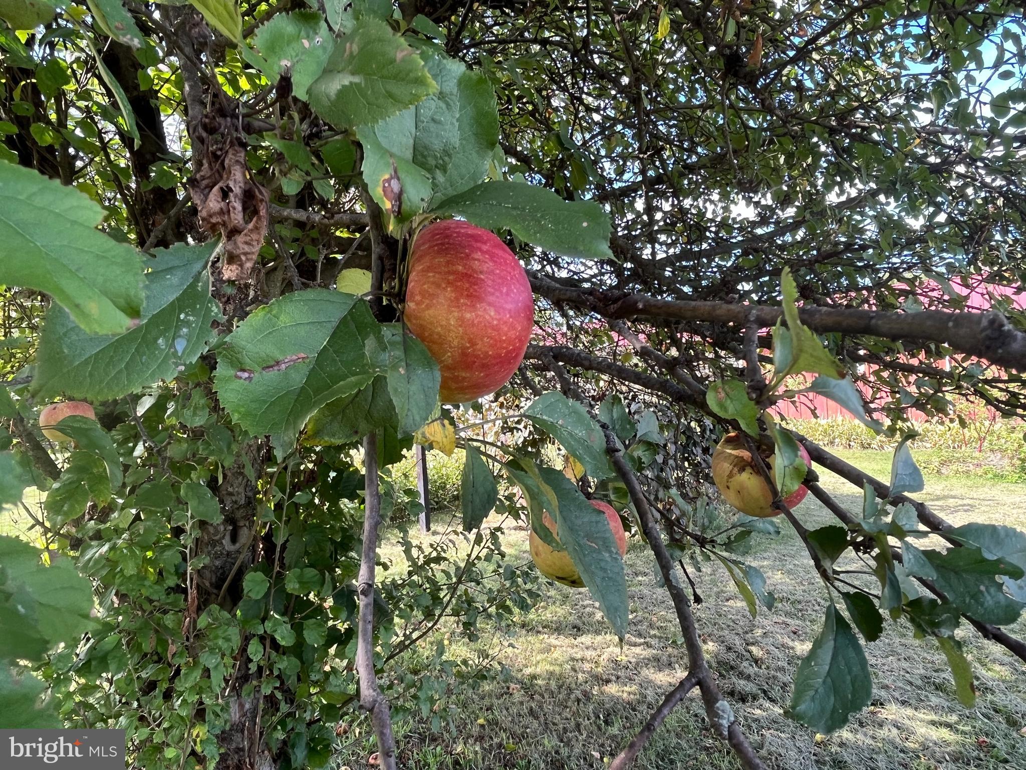 IN TOWN - Residential