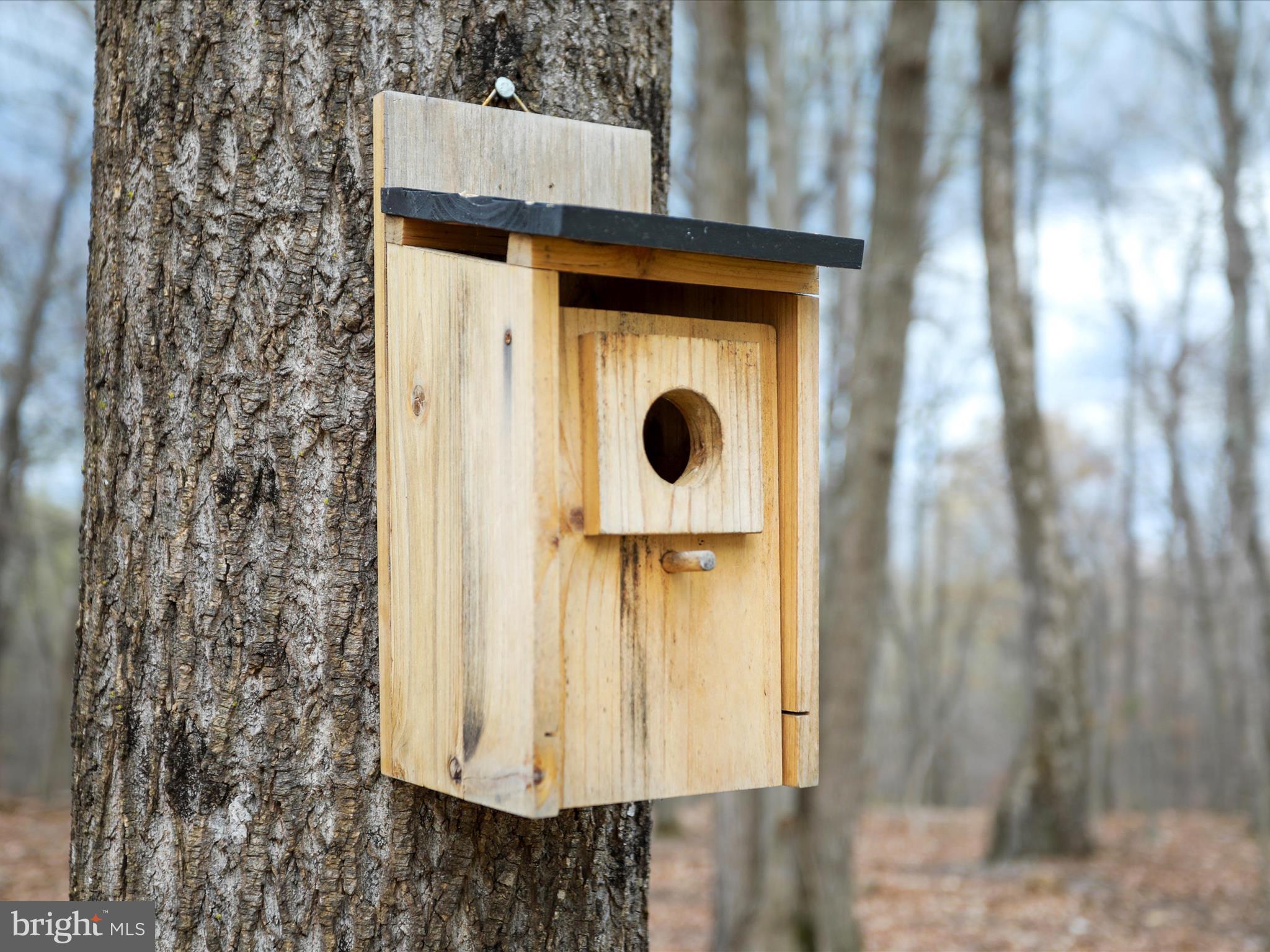 LAKE FOREST ESTATES - Residential