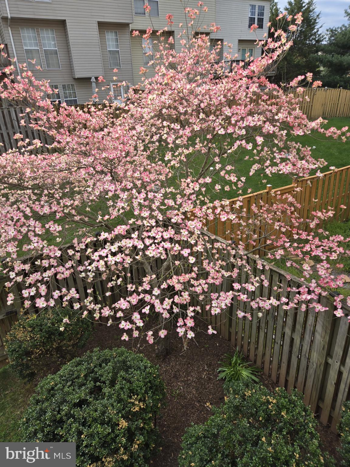 9193 MERRYBELL COURT