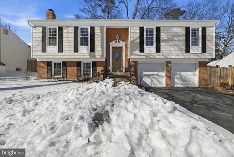 8118 VIOLA STREET SPRINGFIELD VA 22152