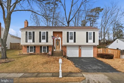 8118 VIOLA STREET SPRINGFIELD VA 22152