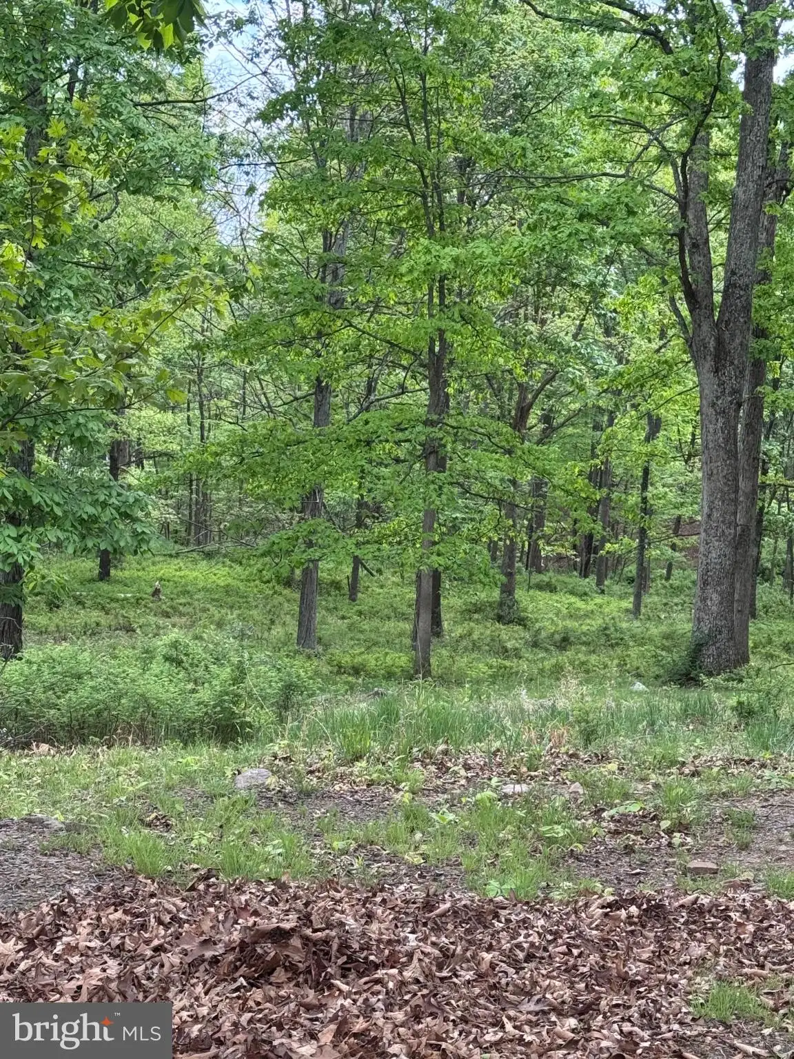 Additional image 134 of 155 Foxdale Lane, Maysville, WV 26833