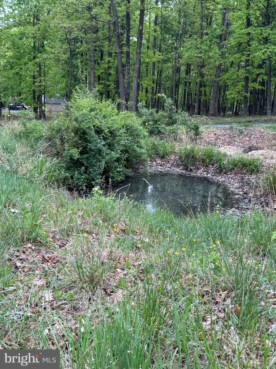 Additional image 132 of 155 Foxdale Lane, Maysville, WV 26833