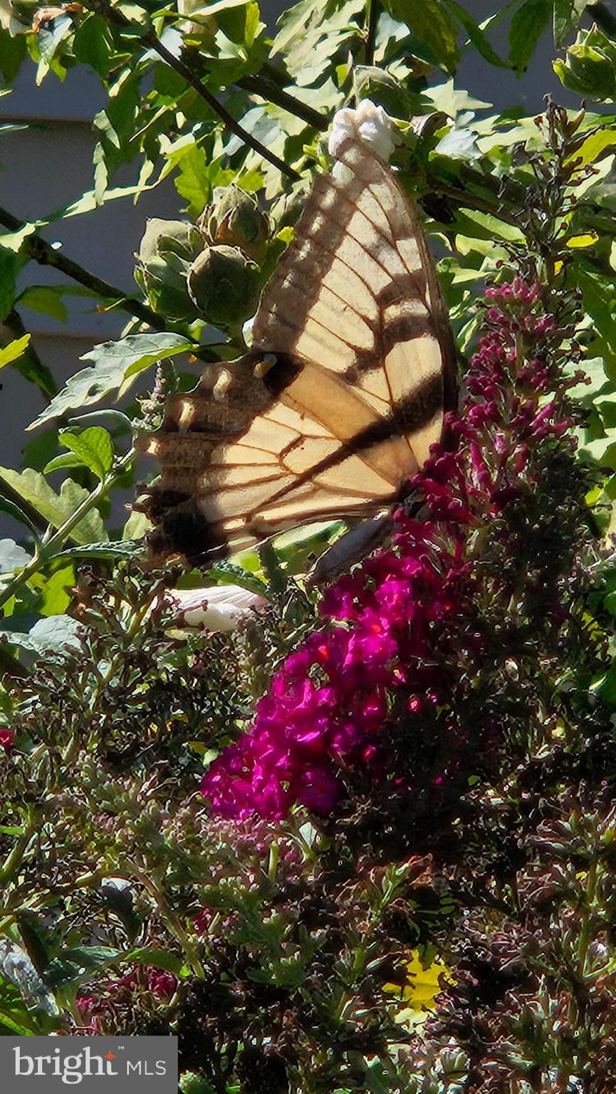 VENICE ON THE BAY - Residential