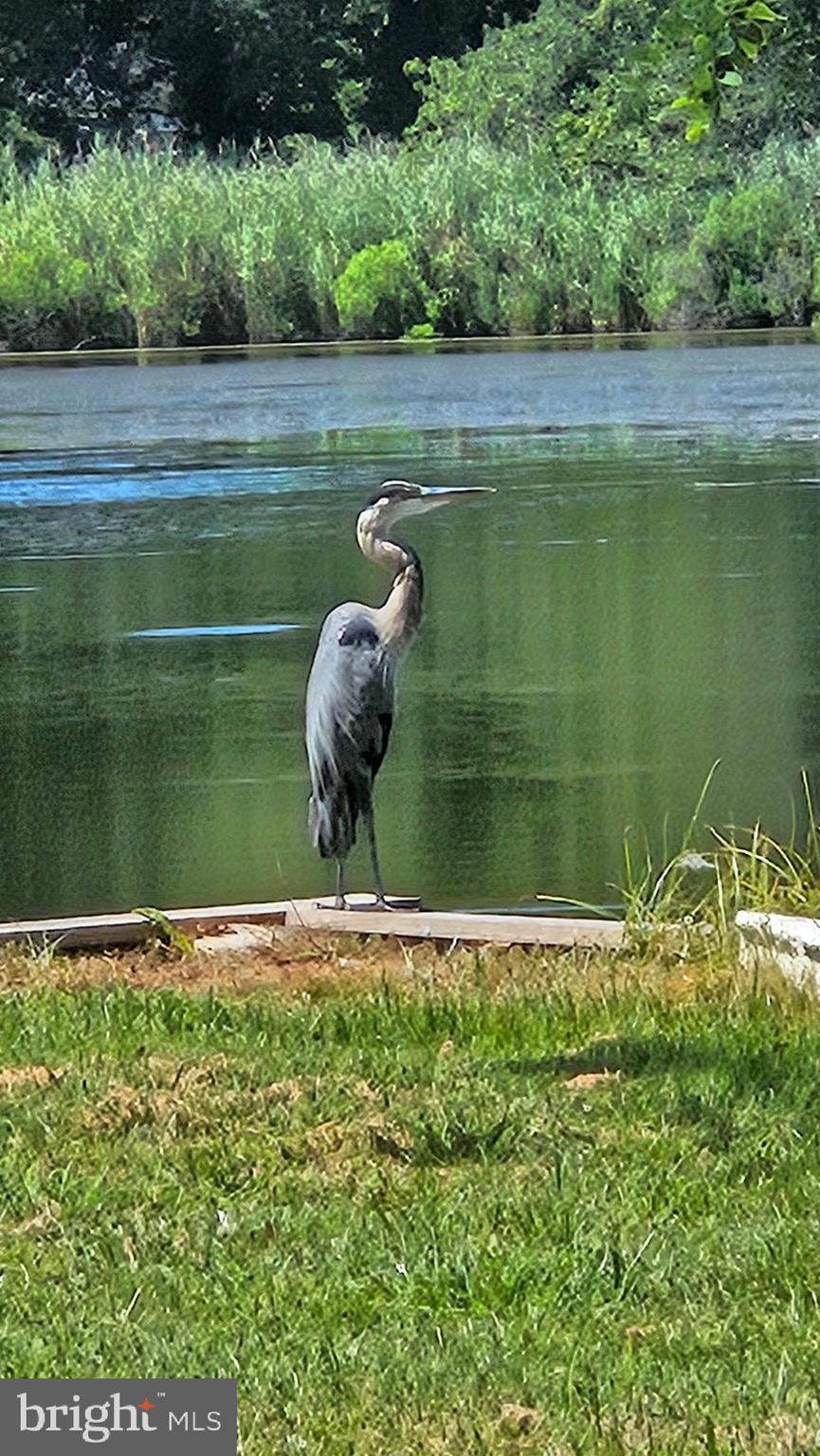 VENICE ON THE BAY - Residential
