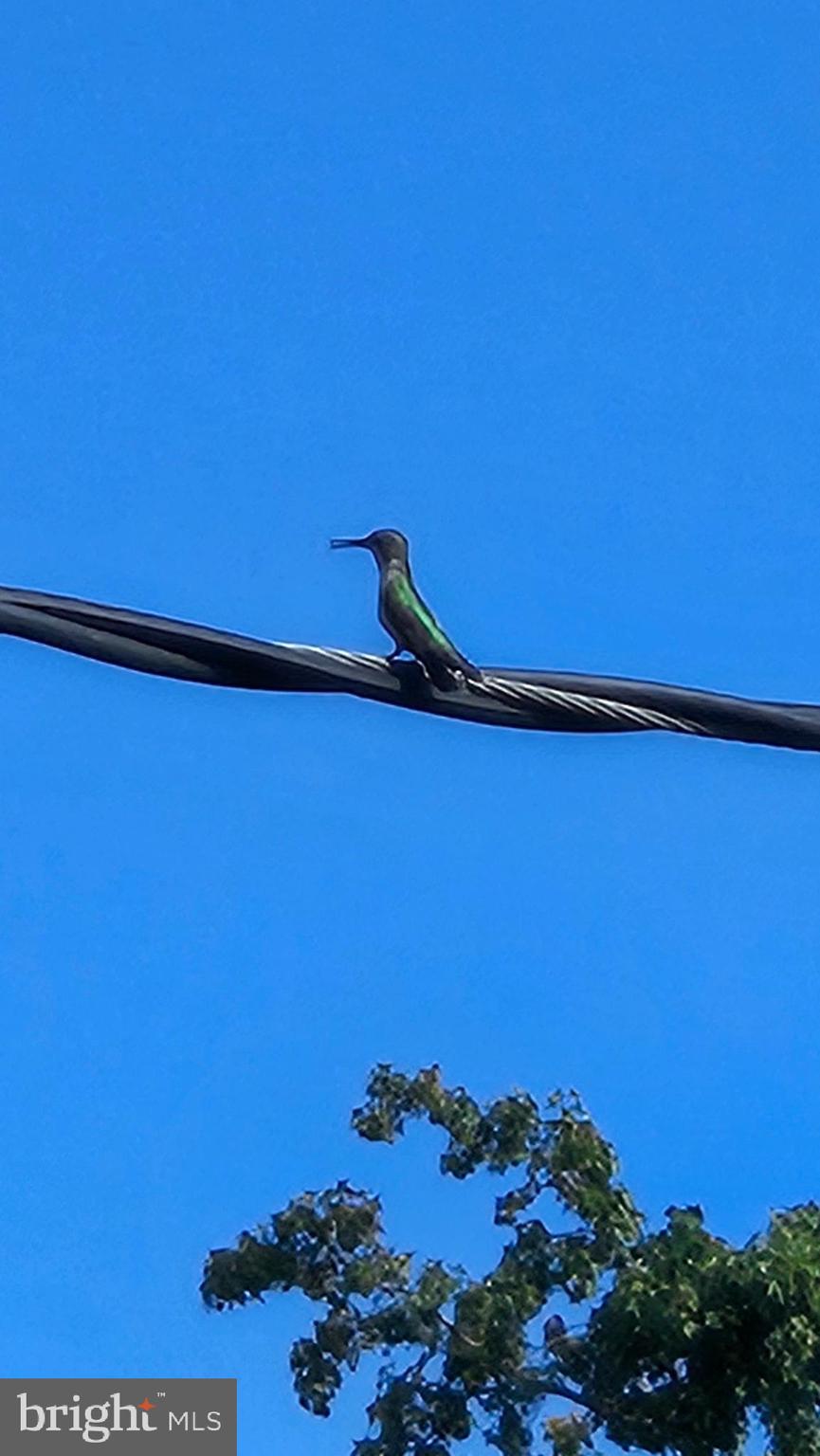 VENICE ON THE BAY - Residential
