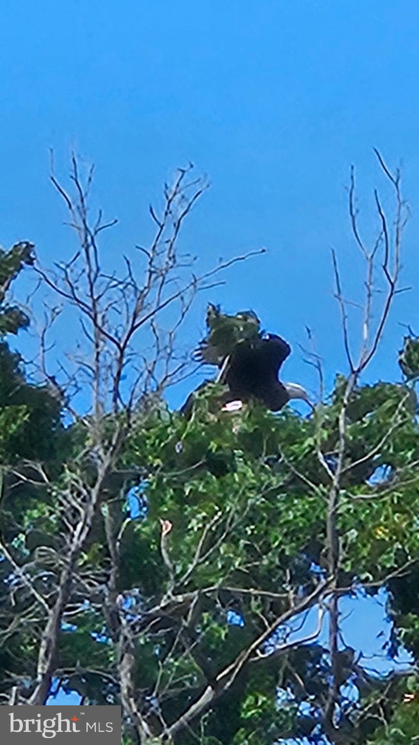 VENICE ON THE BAY - Residential