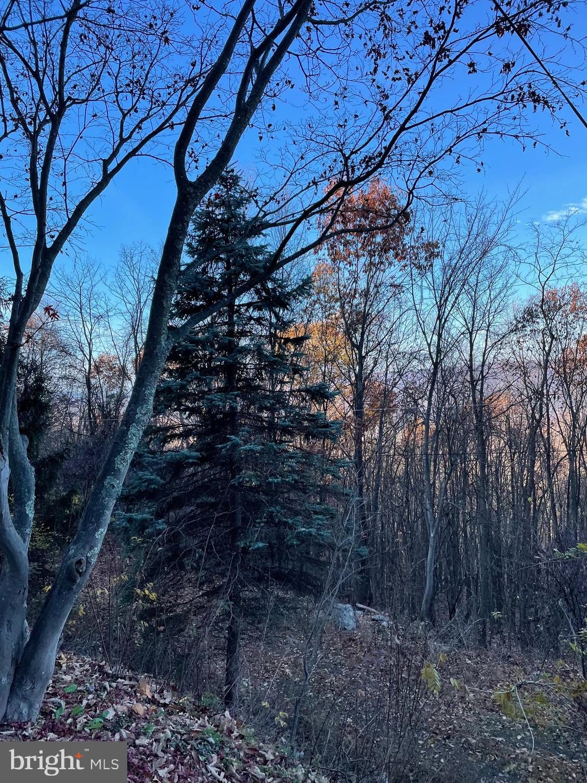 VALLEY HIGH TIMBER FARMS - Residential