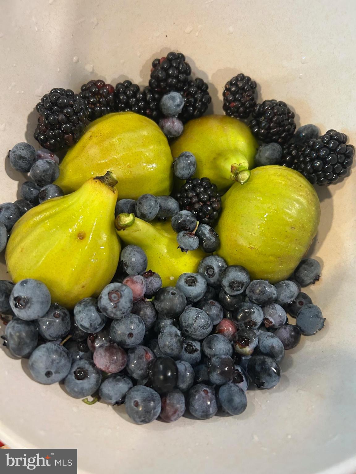 BAY HILLS - Residential