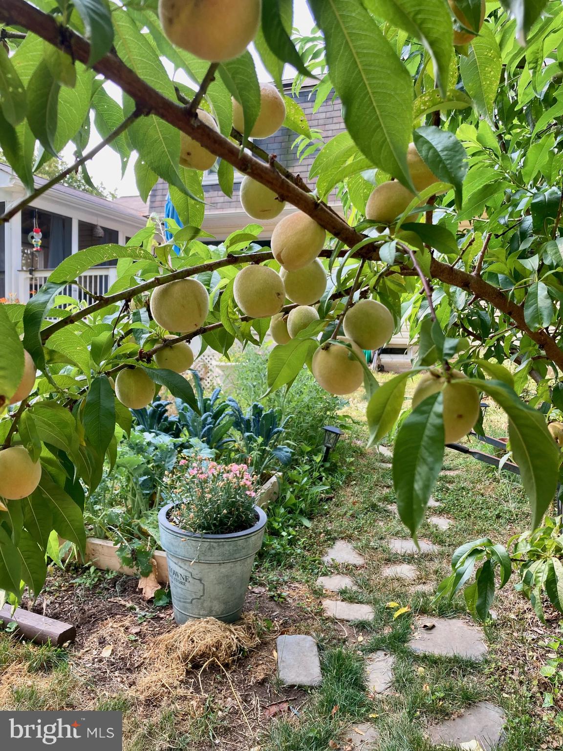 BAY HILLS - Residential