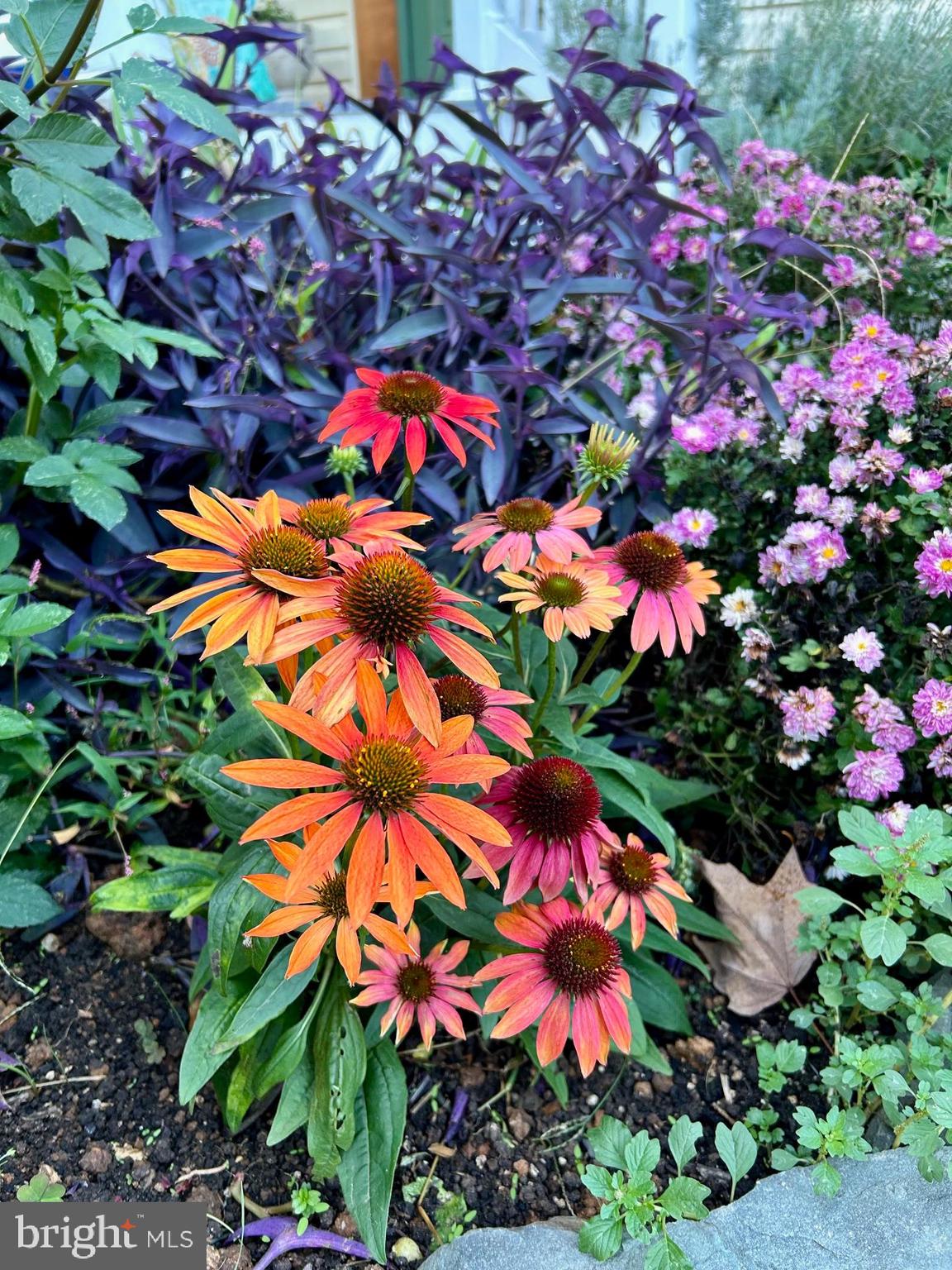 BAY HILLS - Residential