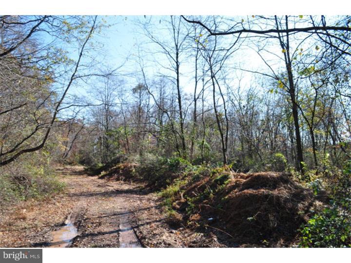 NONE AVAILABLE - Land