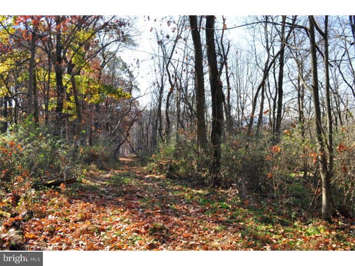 NONE AVAILABLE - Land