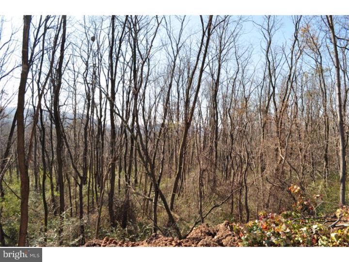 NONE AVAILABLE - Land