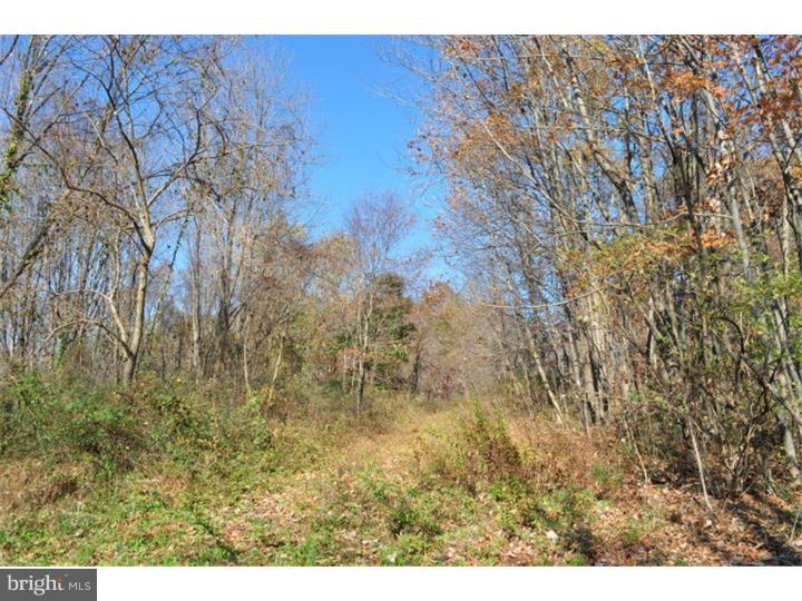 NONE AVAILABLE - Land