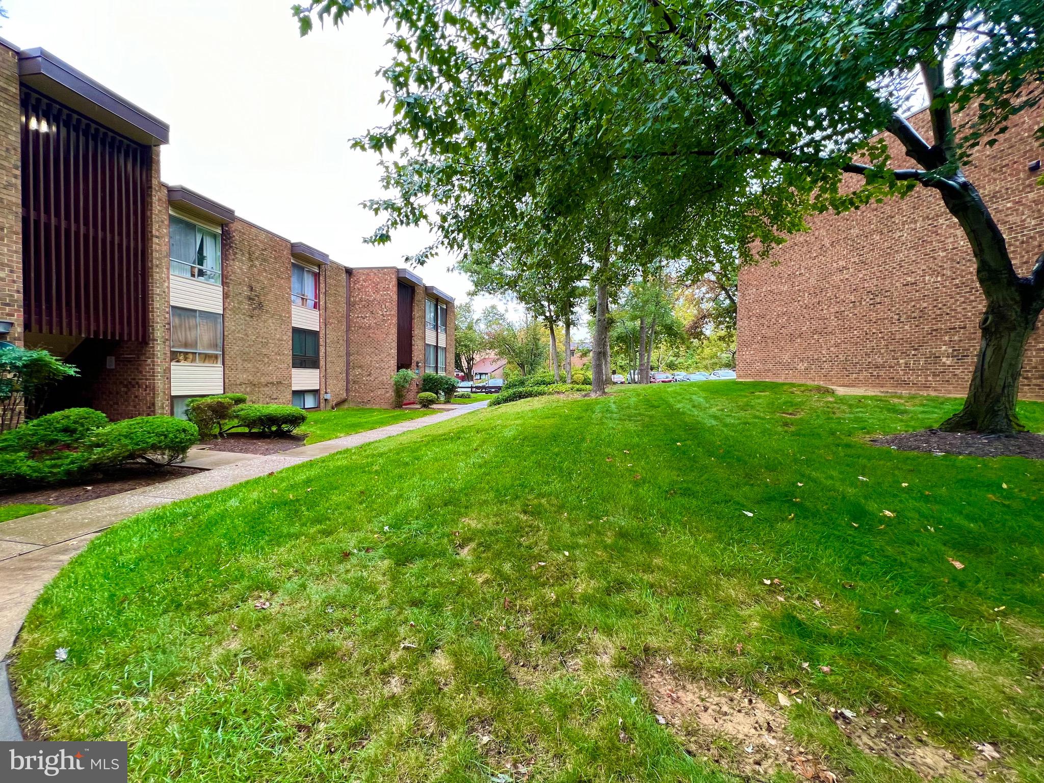 CHELSEA WOODS - Residential