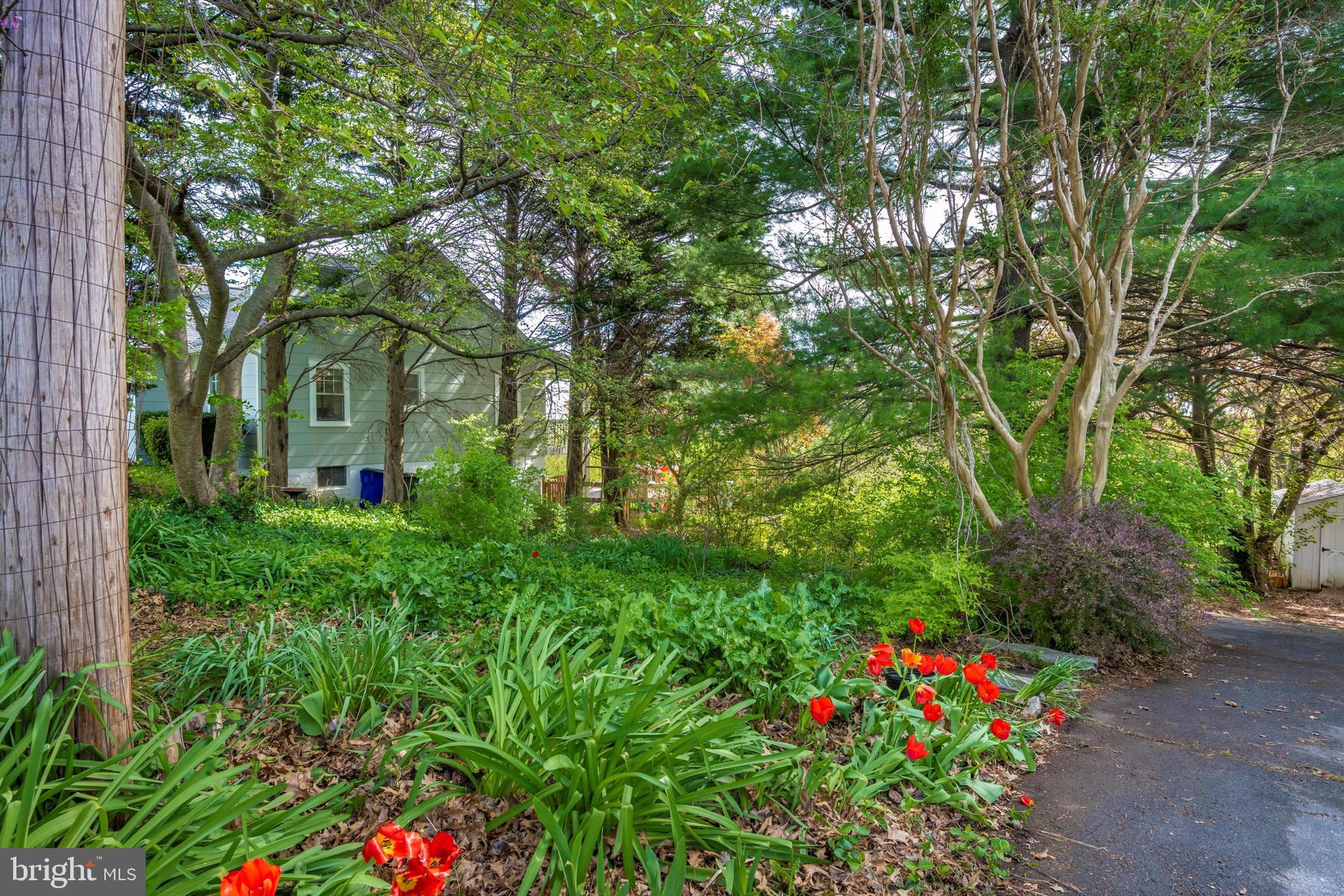 LINDEN HILLS - Residential