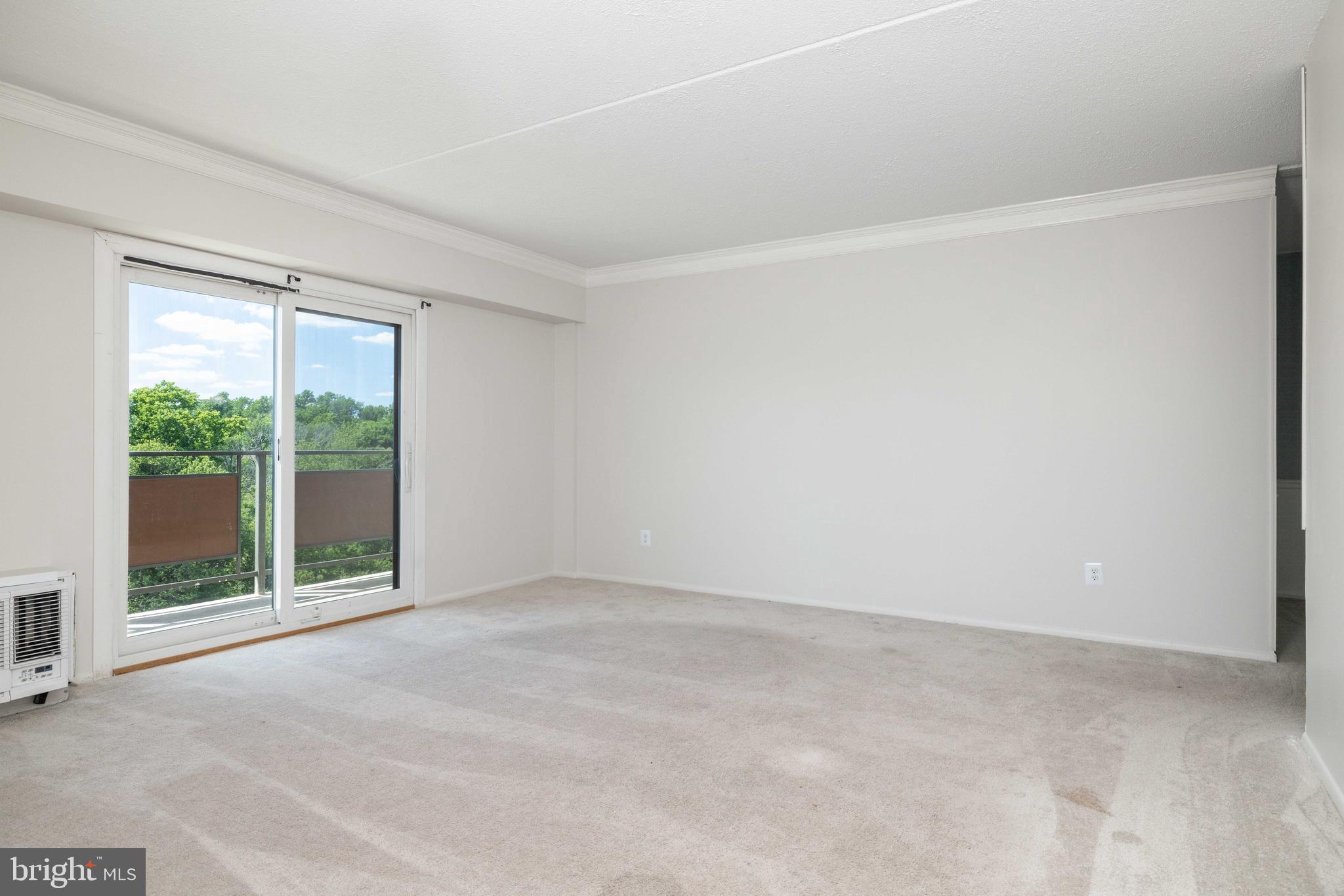 27701 VALLEY RUN DRIVE 701