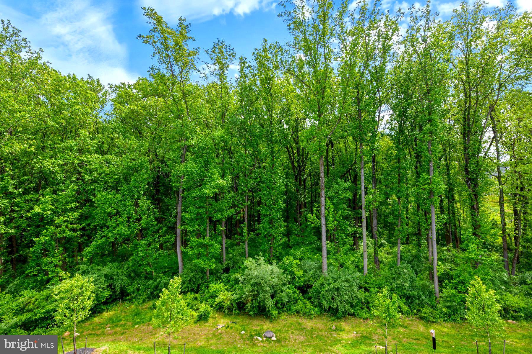 TURF VALLEY - Residential