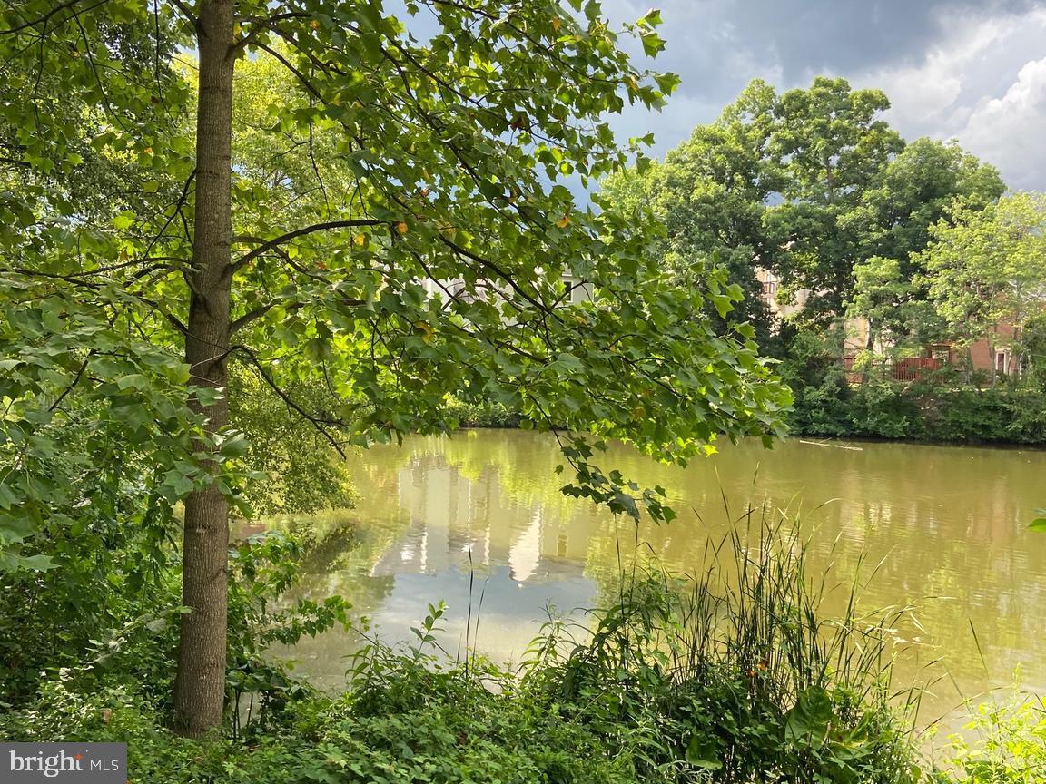 THE COVE - Residential