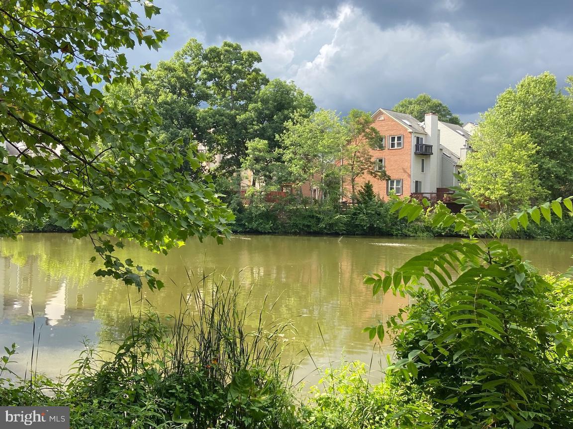 THE COVE - Residential