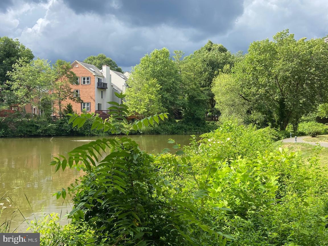 THE COVE - Residential