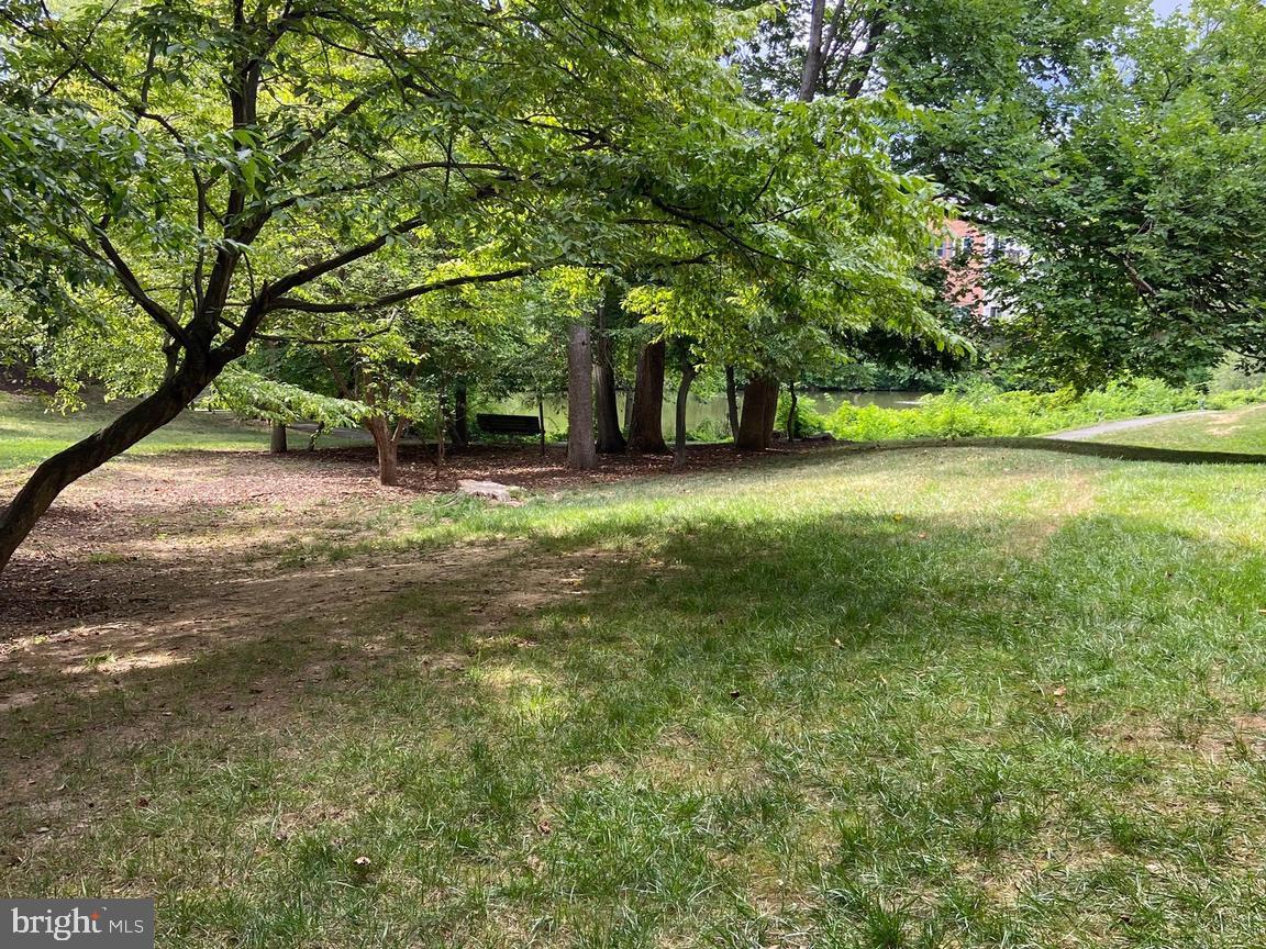 THE COVE - Residential