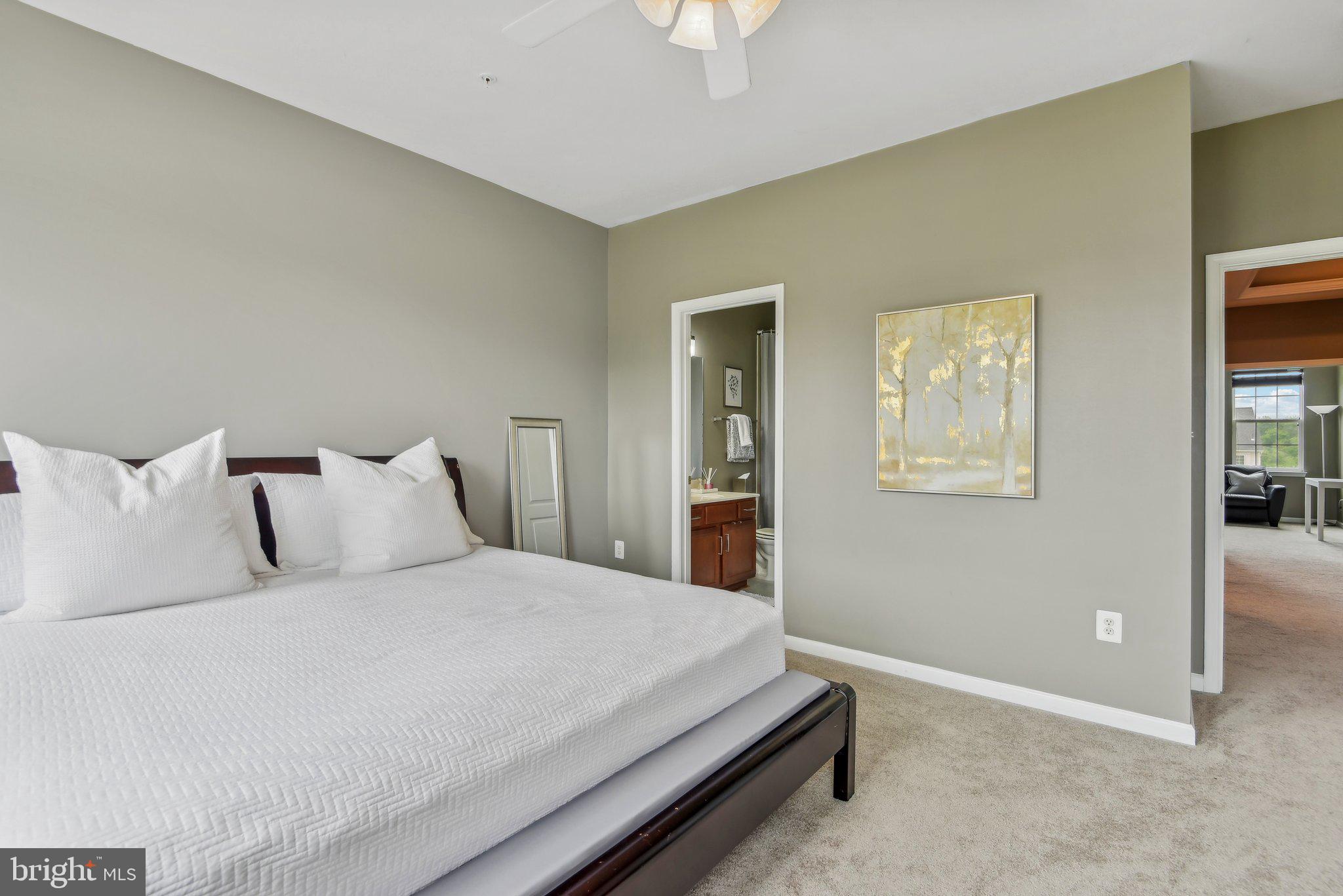 LAKEVIEW AT BRANDYWINE - Residential