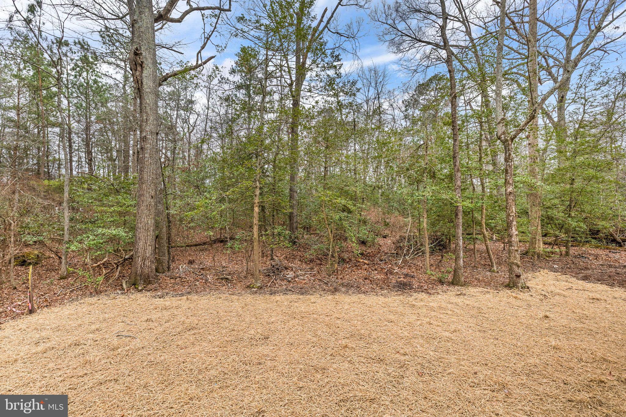 COLONIAL BEACH - Residential