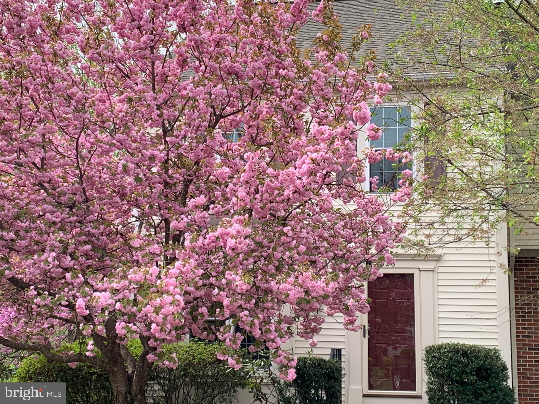 WOODGATE MANOR - Residential Lease