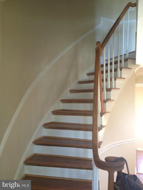 CARDINAL FOREST - Residential