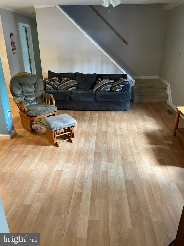 OCEAN PINES - SALT GRASS COVE - Residential