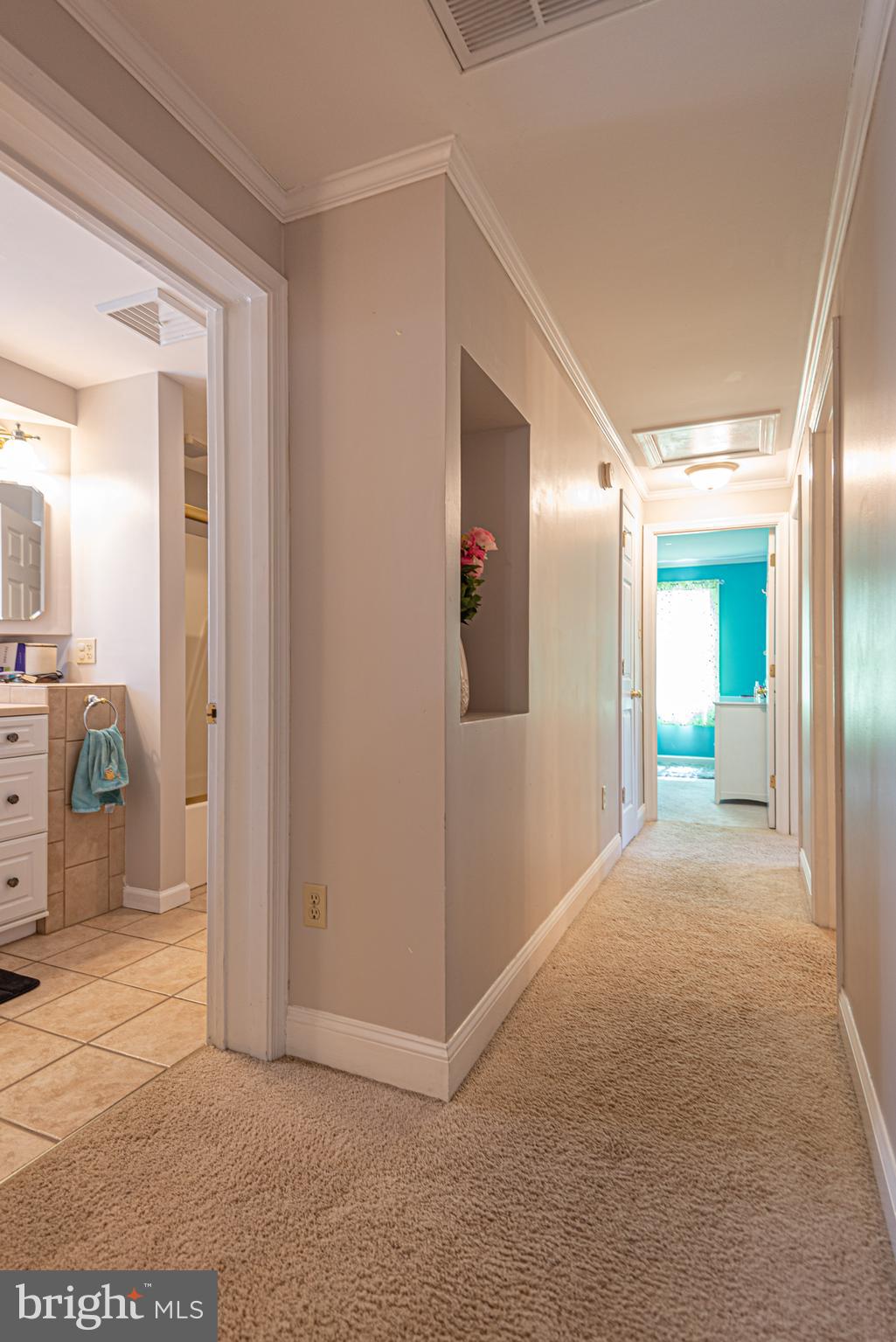 OCEAN PINES - SALT GRASS COVE - Residential