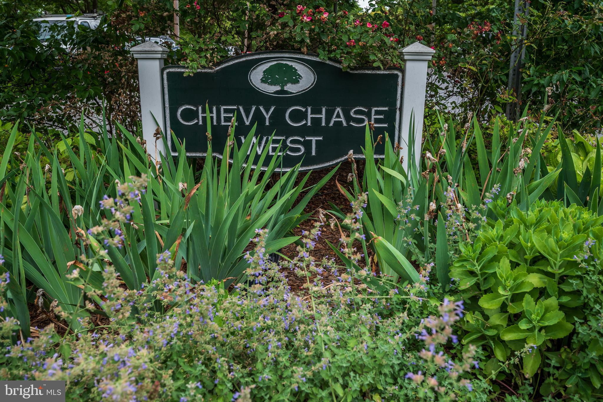 CHEVY CHASE TERRACE - Residential