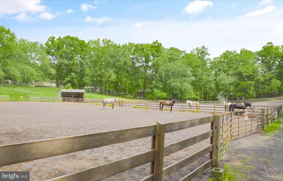 Locust Grove, Virginia 22508, United States, 3 Bedrooms Bedrooms, ,2 BathroomsBathrooms,Residential,Contingent,129651