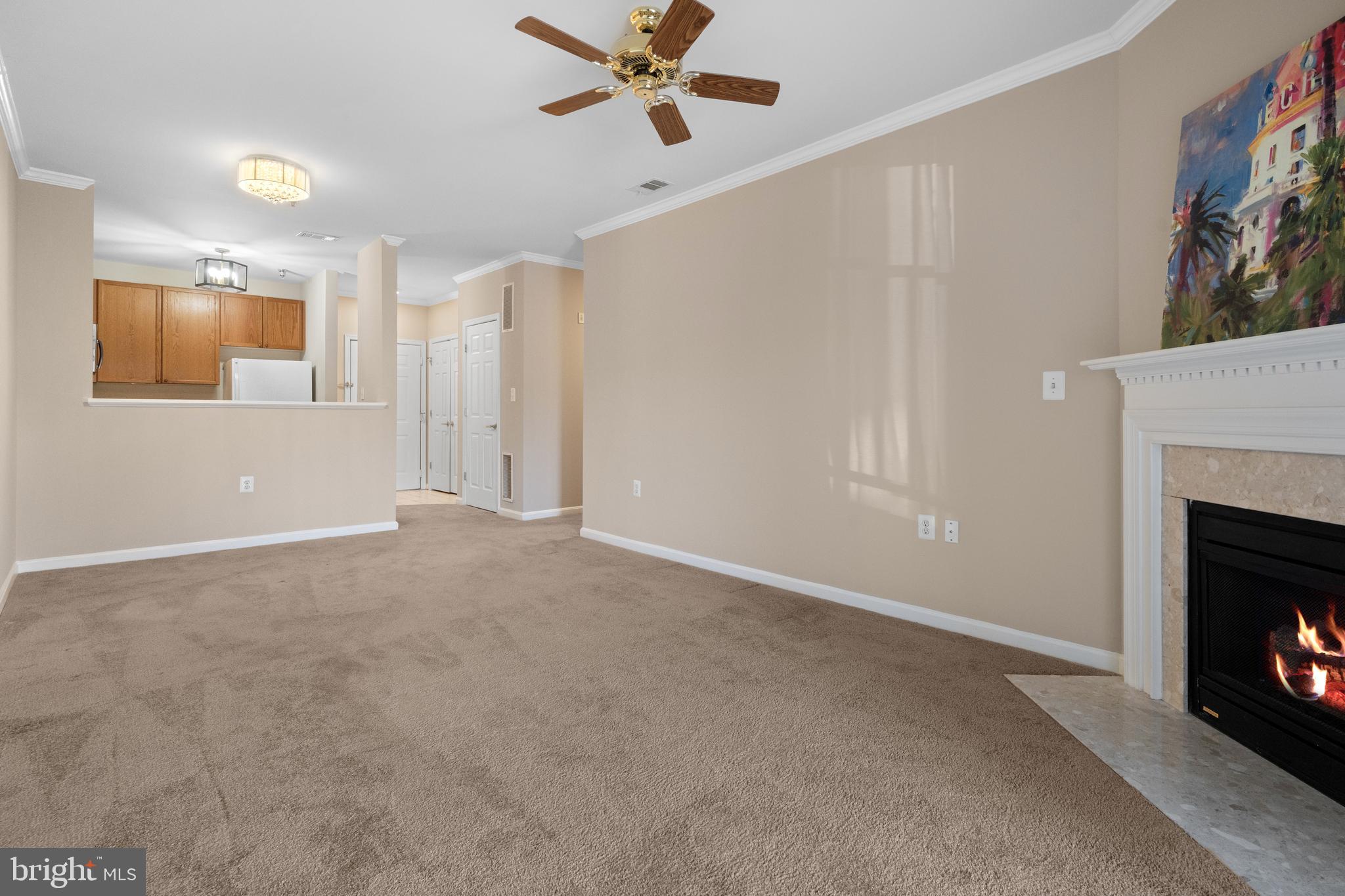 CAMERON STATION - Residential