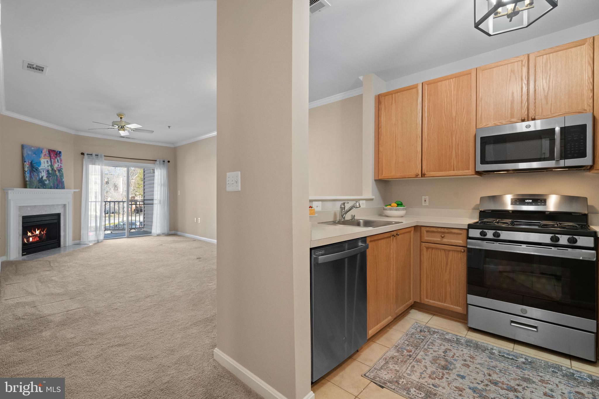 CAMERON STATION - Residential