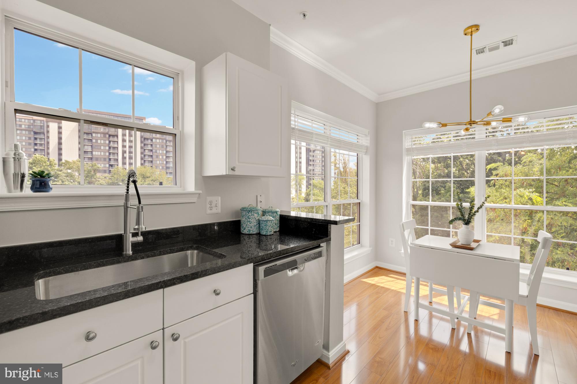 PALAZZO AT PARK CENTER - Residential