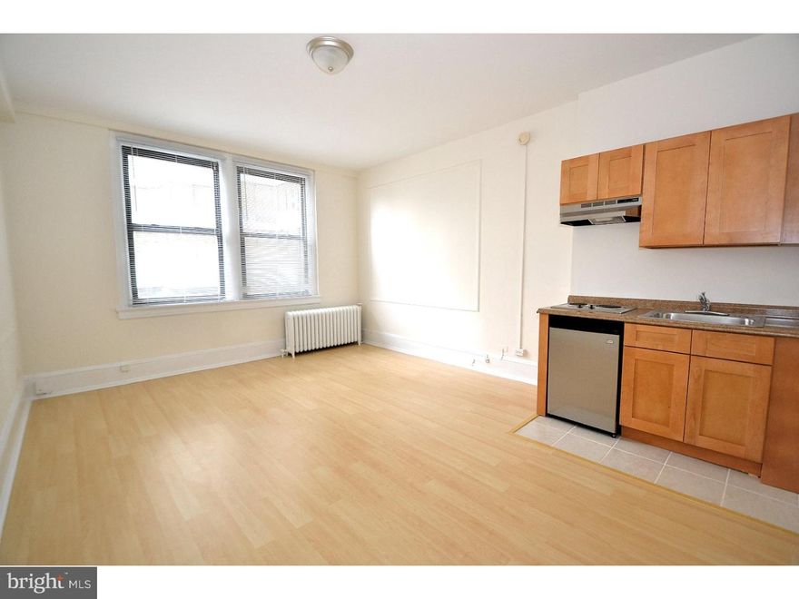 BEAUTIFULLY RENOVATED studio at the ever popular Arts Condo. Enjoy this new renovation with gorgeous floors & a new kitchen. This is one of the larger studios at the Arts & it includes Central Air (which most Arts' units do not!). And ALL utilities & Comcast Cable TV are included! That means heat, electric, central air, water, hot water & cable TV are INCLUDED in your rent! The Arts offers a premier location, right on the Avenue of the Arts and convenient to all Center City has to offer & every hospital & University. The building has professional on-site management & maintenance staff & first-class amenities, including 24 hour front desk person who sits in a most beautiful, grand lobby, fitness center, clean laundry room with ample modern machines, bicycle storage, lobby WiFi (and internet kiosks!), & a business room. Building requires a $250 move-in fee (no move out fee). First month, last month, and one month security deposit due when lease is signed. Listing Agent owns unit.