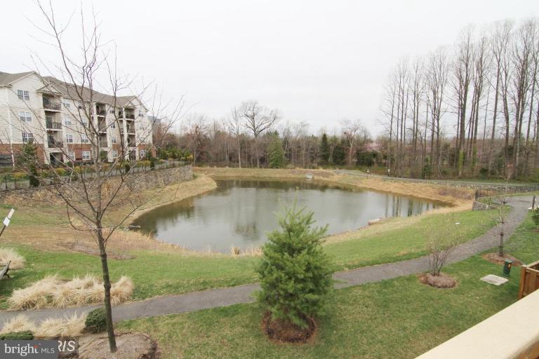 FAIR CHASE - Residential Lease