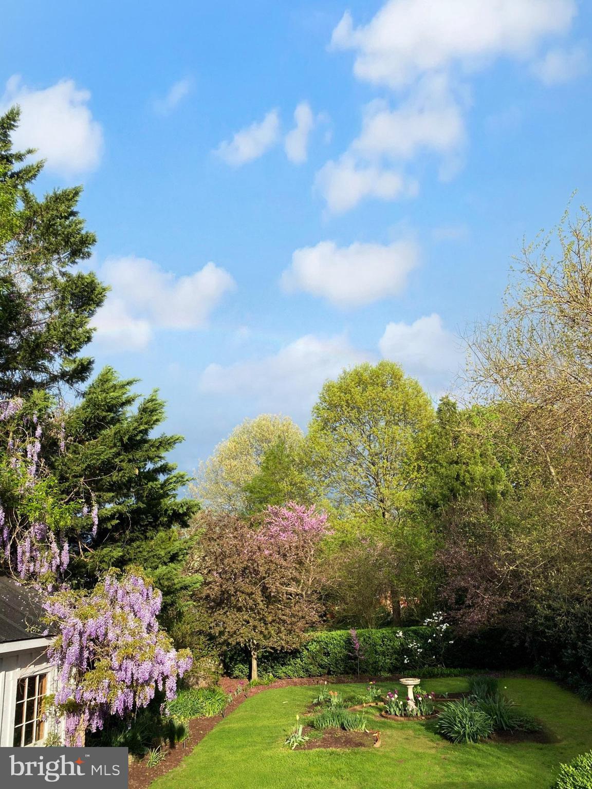 HISTORIC LEESBURG - Residential