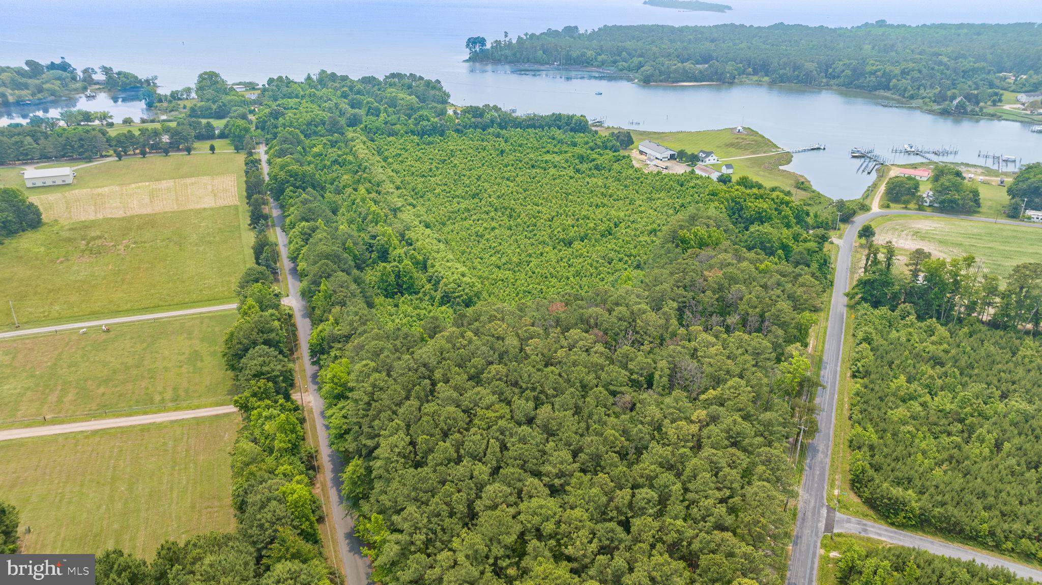 CHERRY FARMS - Residential