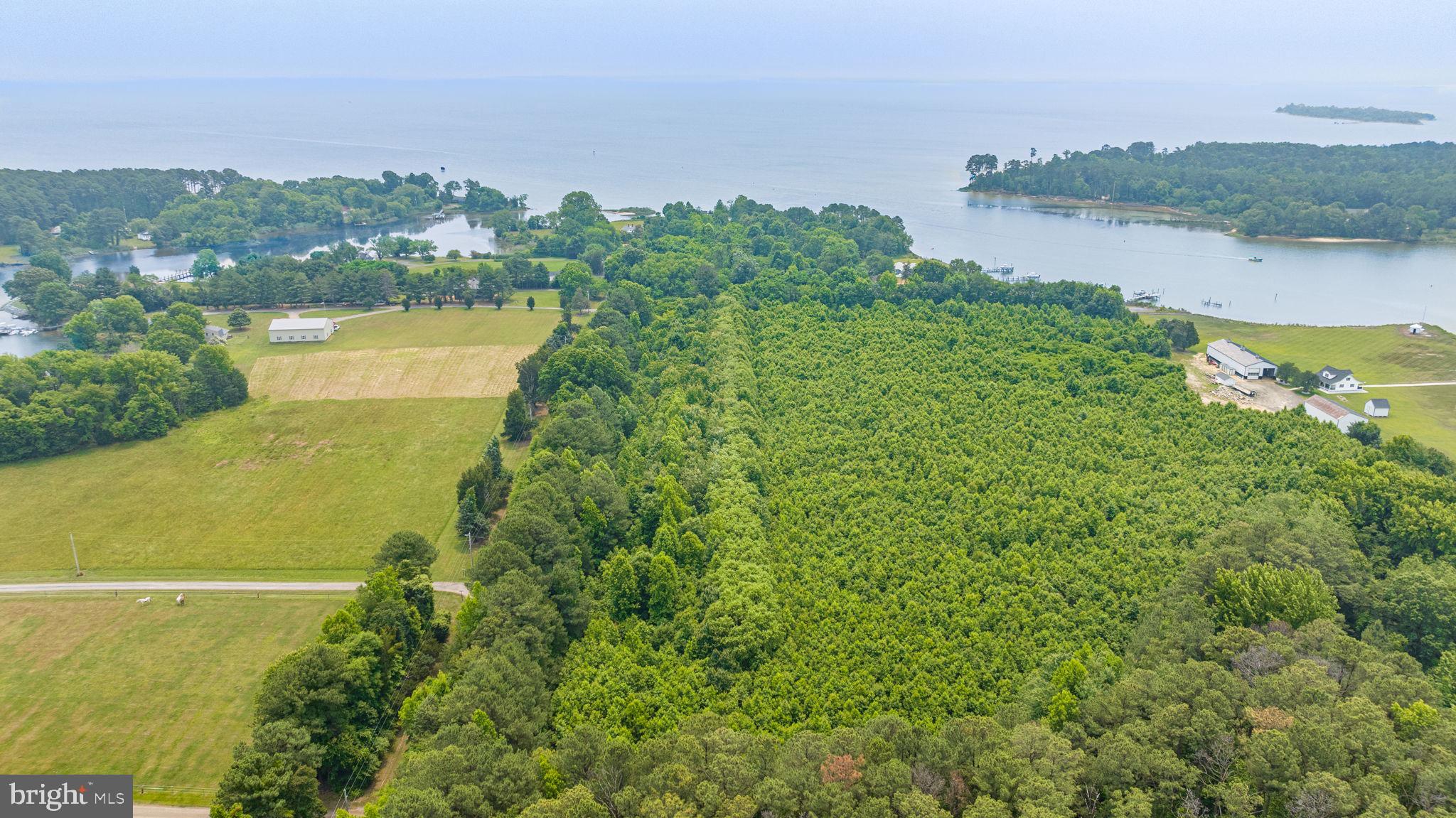 CHERRY FARMS - Residential