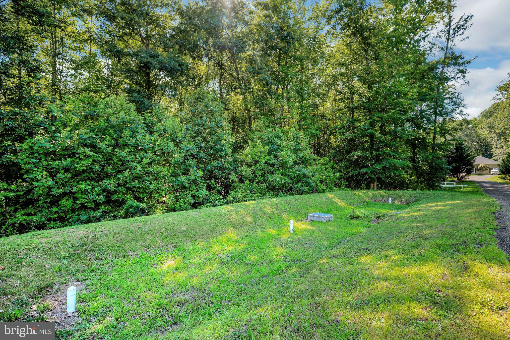 NELSON'S RUN - Residential