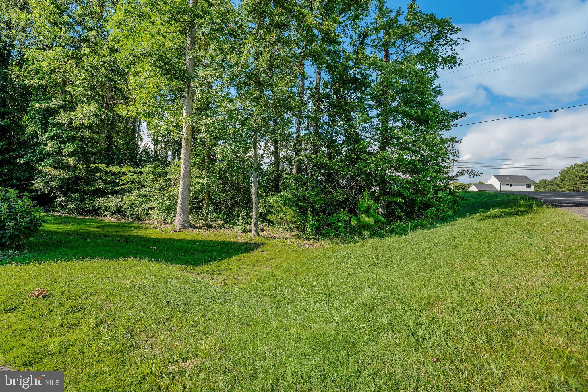 NELSON'S RUN - Residential